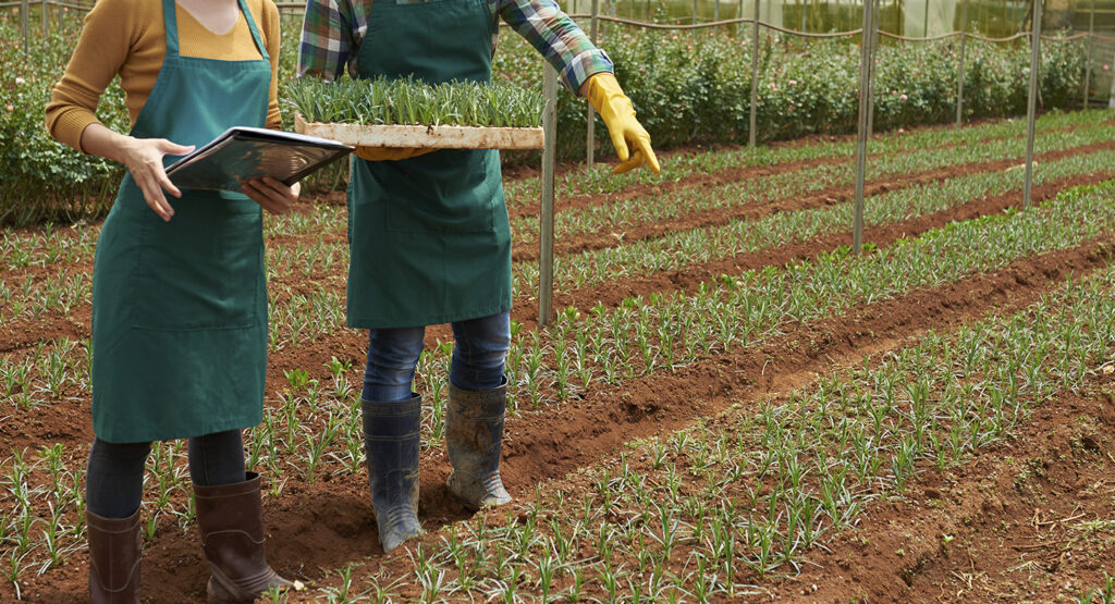 Beca para Estudios en Ciencias Agropecuarias 